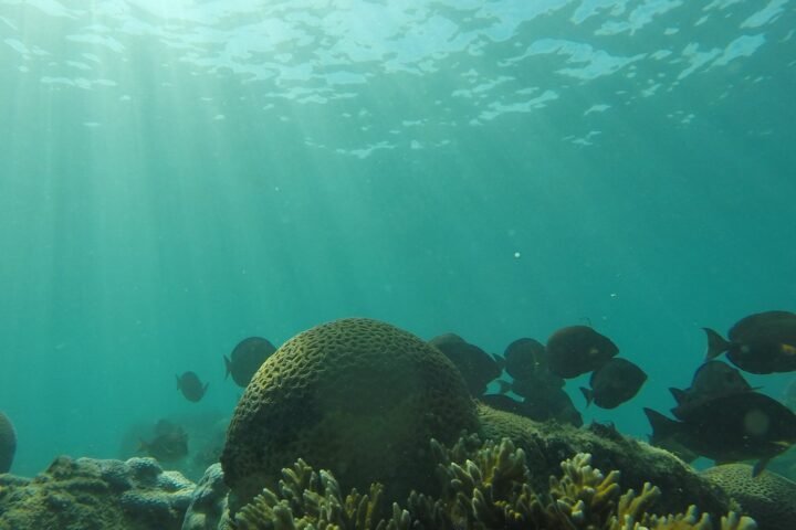 Mergulho - foto 3