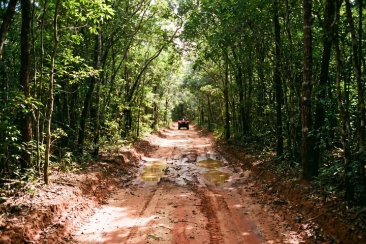 Quadriciclo – Porto Seguro - foto 4