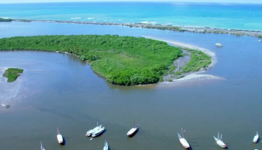 Coroa Alta
